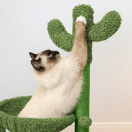 Arbre À Chat Cactus | Minouplus