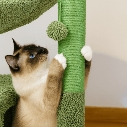 Arbre À Chat Cactus | Minouplus