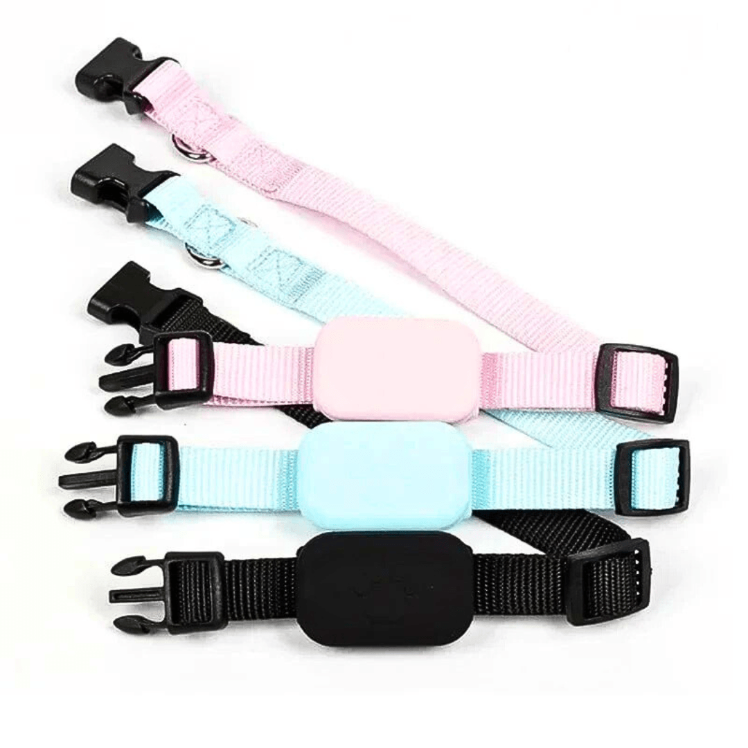 Collier Pour Chat Avec Gps | Minouplus