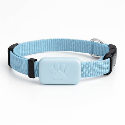 Collier Pour Chat Avec Gps | Minouplus Bleu
