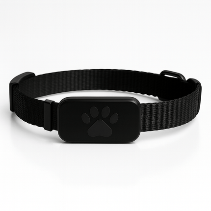 Collier Pour Chat Avec Gps | Minouplus Noir
