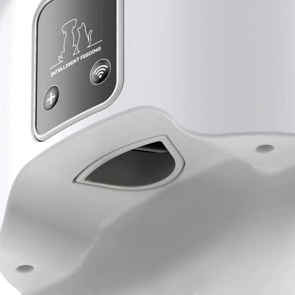 Distributeur De Croquettes Automatique Pour Chat | Minouplus