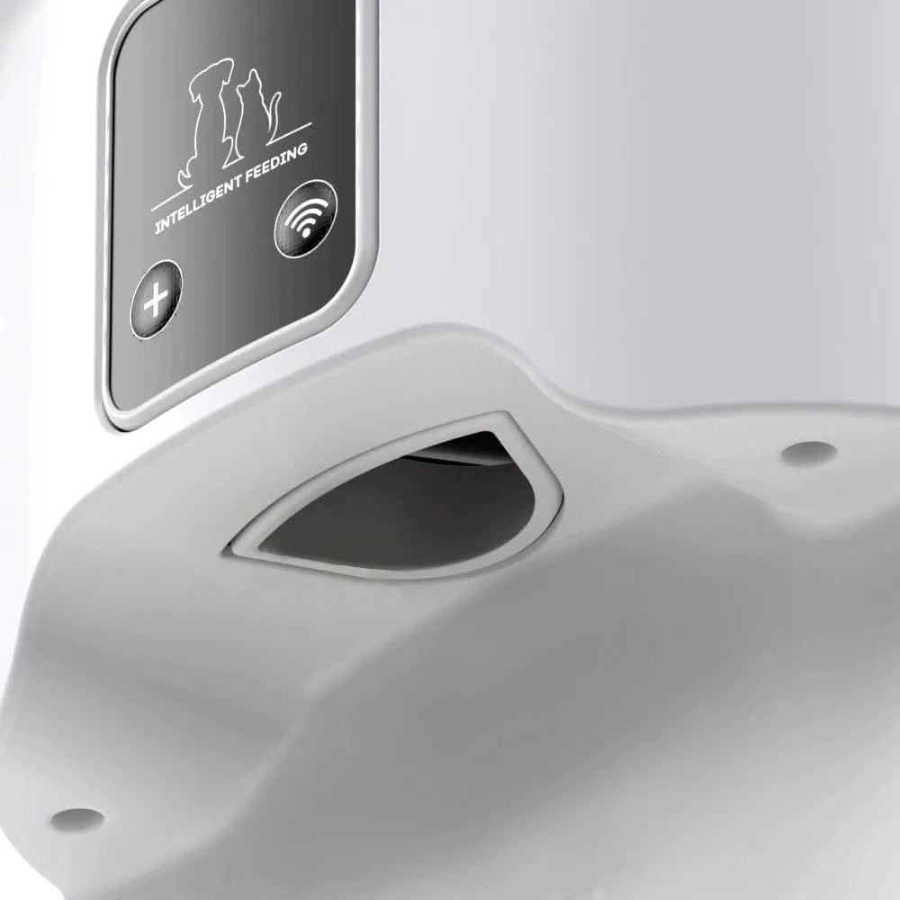Distributeur De Croquettes Automatique Pour Chat | Minouplus