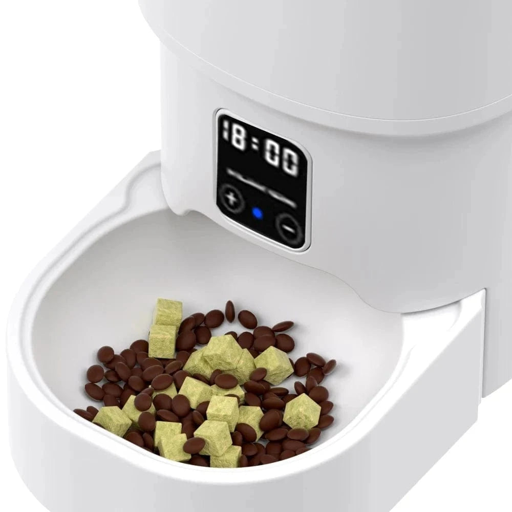 Distributeur De Croquettes Automatique Pour Chat | Minouplus
