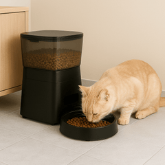 Distributeur De Croquettes Pour Chat Automatique | Minouplus