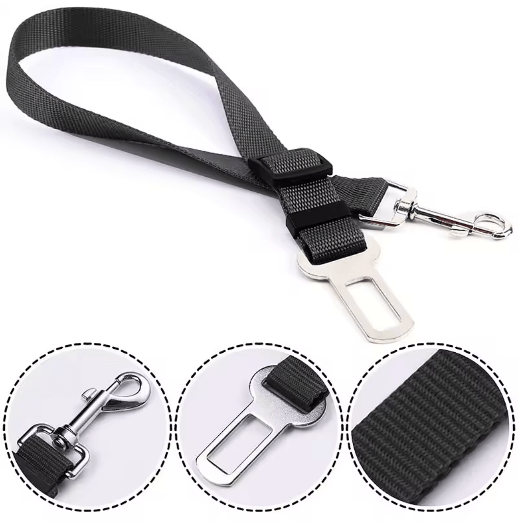 Harnais Pour Chat Voiture | Minouplus