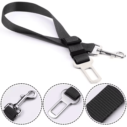 Harnais Pour Chat Voiture | Minouplus