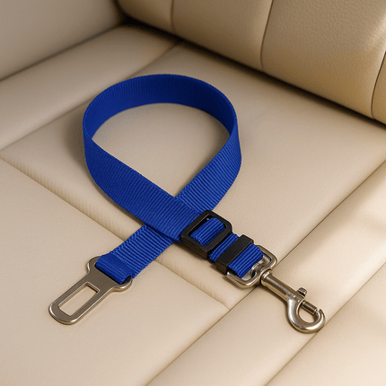 Harnais Pour Chat Voiture | Minouplus Bleu