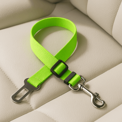 Harnais Pour Chat Voiture | Minouplus Vert clair