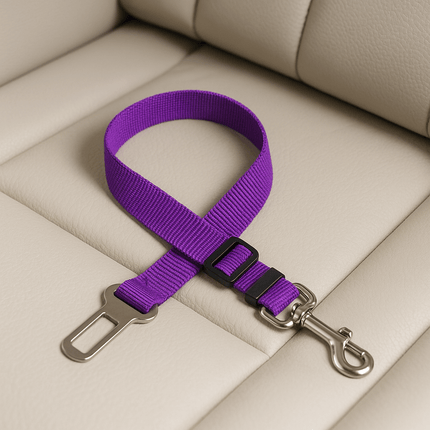 Harnais Pour Chat Voiture | Minouplus Violet