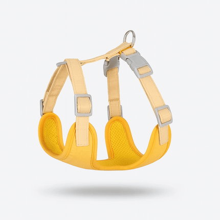 Harnais Pour Gros Chat | Minouplus