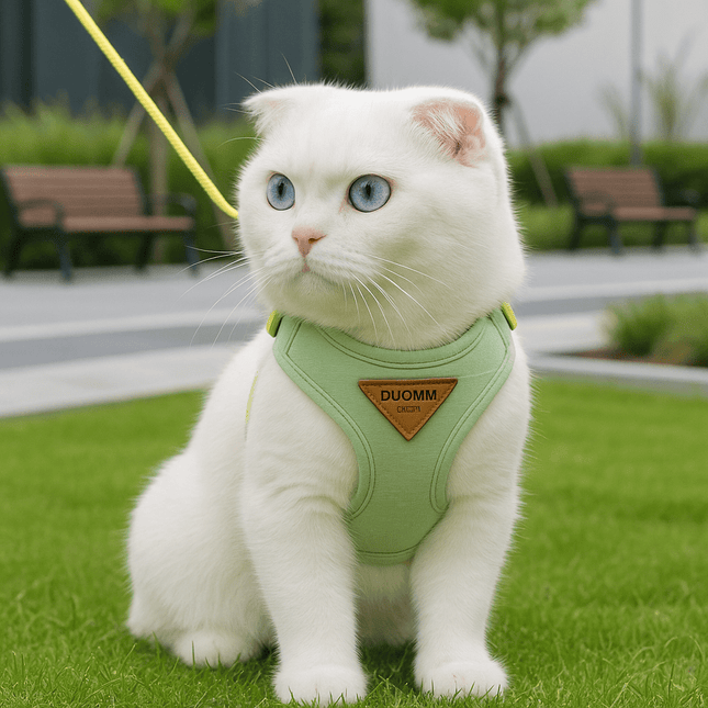 Harnais Pour Gros Chat | Minouplus Vert / XS