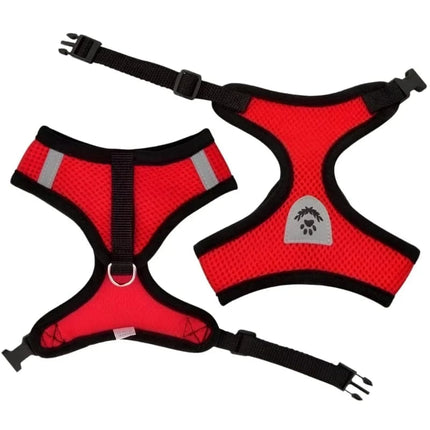 Harnais Pour Petit Chat | Minouplus