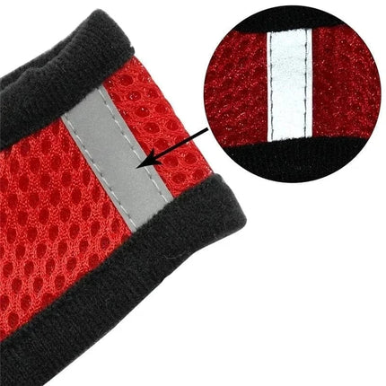 Harnais Pour Petit Chat | Minouplus