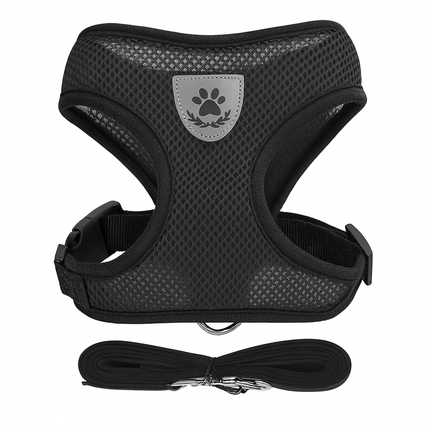 Harnais Pour Petit Chat | Minouplus Noir / S