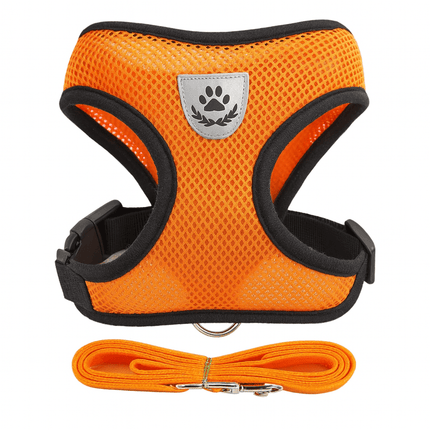 Harnais Pour Petit Chat | Minouplus Orange / S