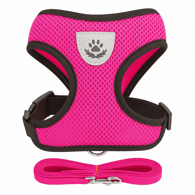 Harnais Pour Petit Chat | Minouplus Rose fluo / S