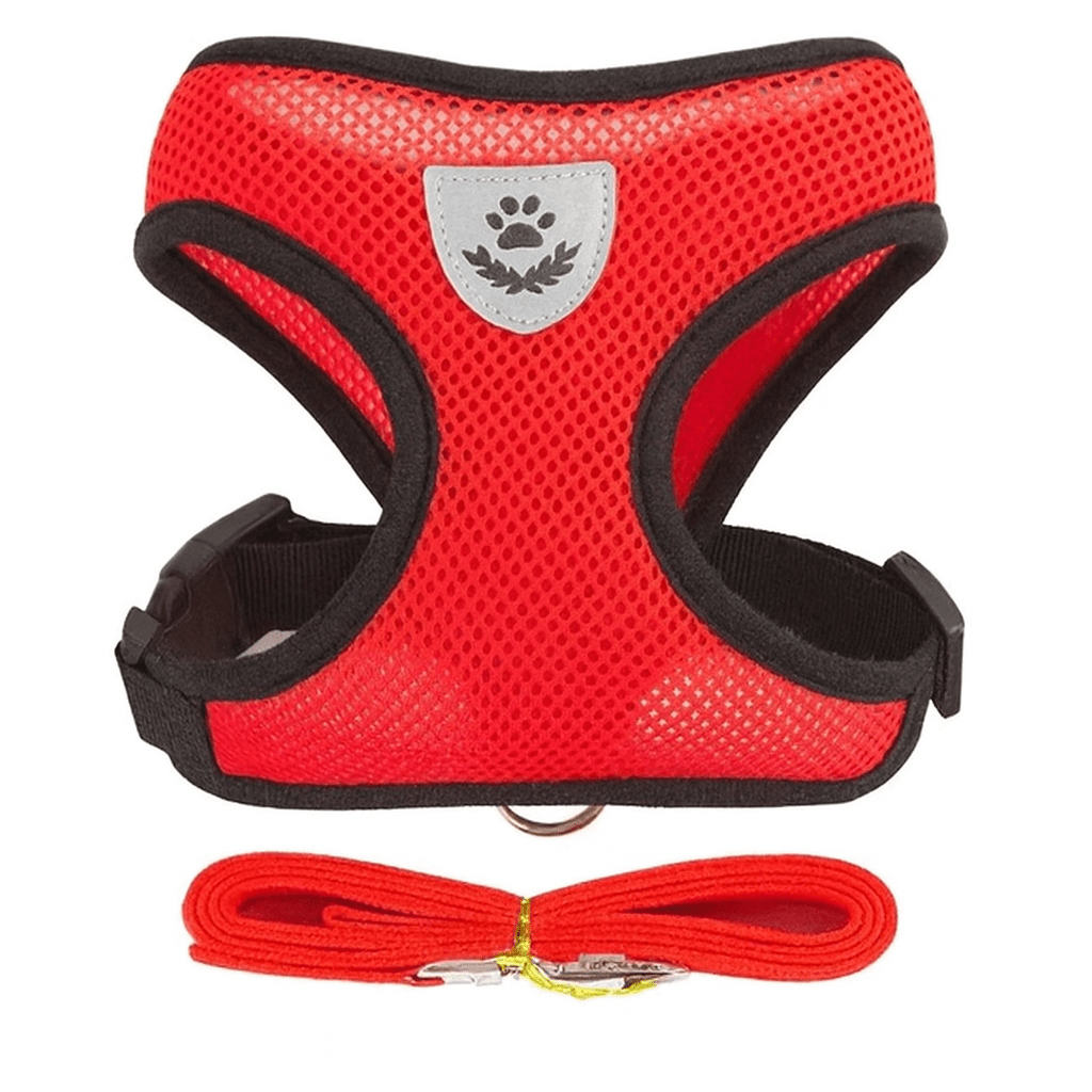 Harnais Pour Petit Chat | Minouplus Rouge / S