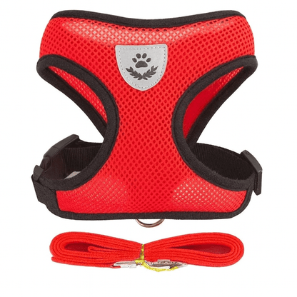 Harnais Pour Petit Chat | Minouplus Rouge / S