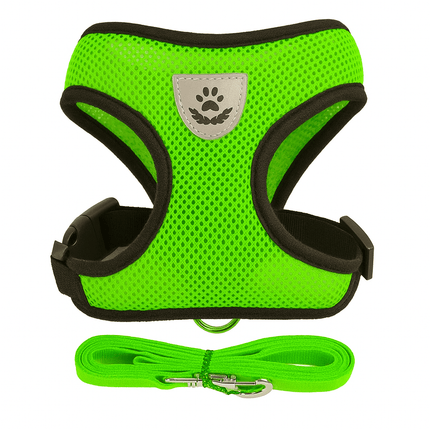 Harnais Pour Petit Chat | Minouplus Vert / S