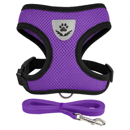 Harnais Pour Petit Chat | Minouplus Violet / S