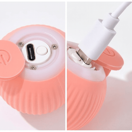 Jouet Intelligent Pour Chat | Minouplus