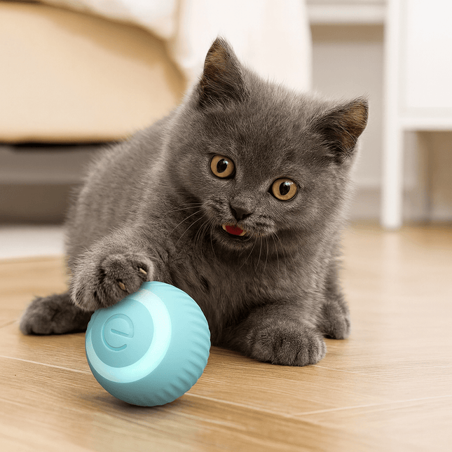 Jouet Intelligent Pour Chat | Minouplus
