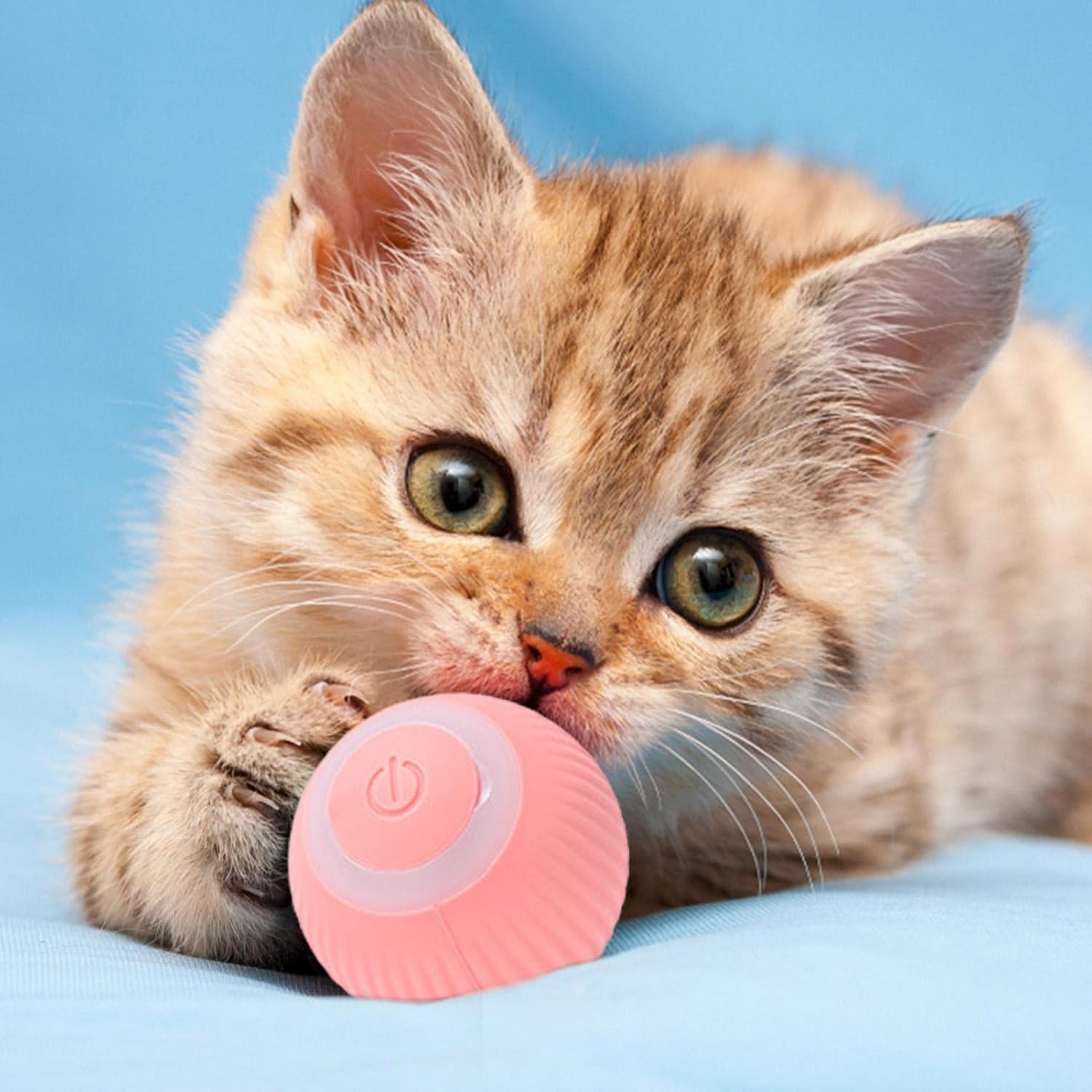 Jouet Intelligent Pour Chat | Minouplus