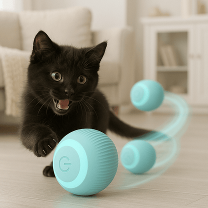 Jouet Intelligent Pour Chat | Minouplus