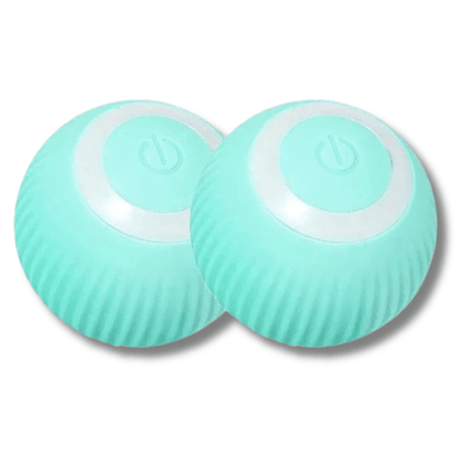 Jouet Intelligent Pour Chat | Minouplus 2 pièces Turquoise