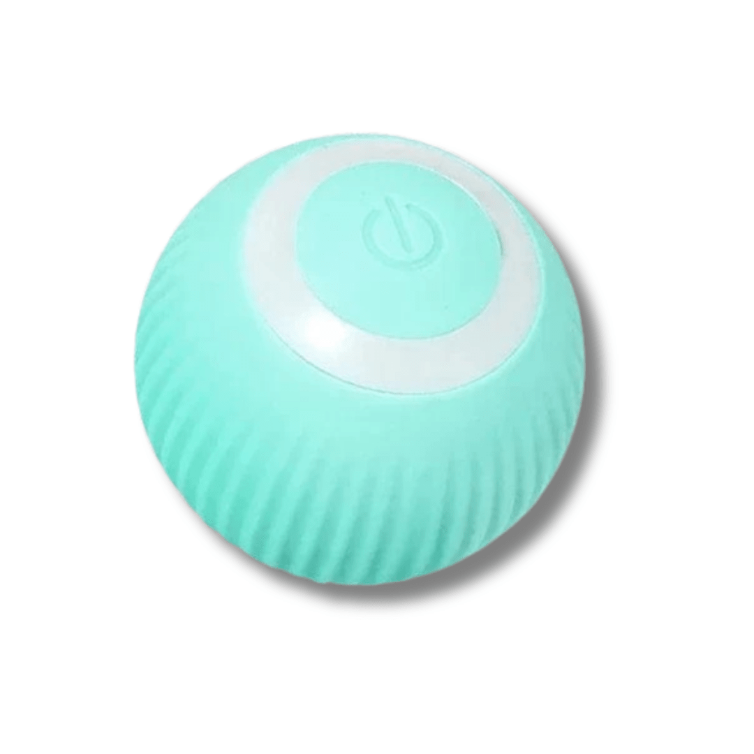 Jouet Intelligent Pour Chat | Minouplus Turquoise