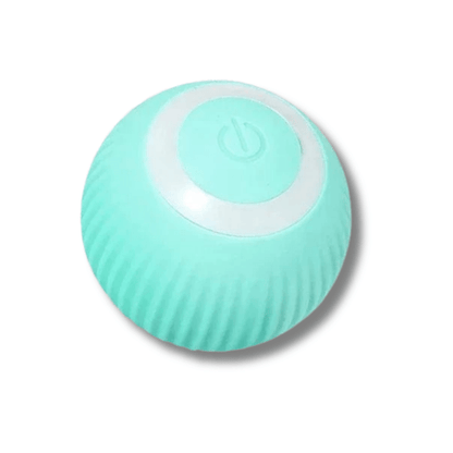 Jouet Intelligent Pour Chat | Minouplus Turquoise
