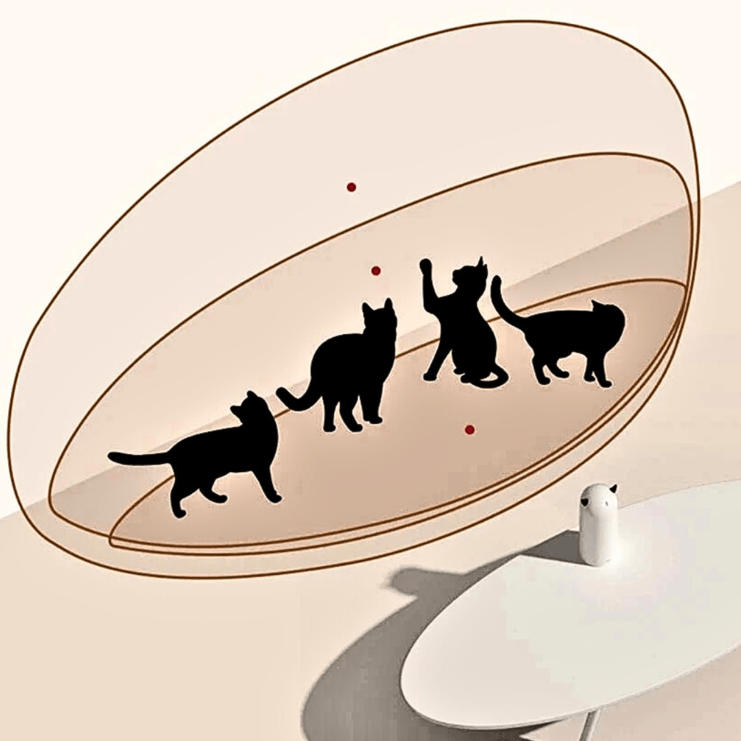 Jouet Laser Pour Chat | Minouplus