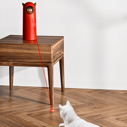 Jouet Laser Pour Chat | Minouplus