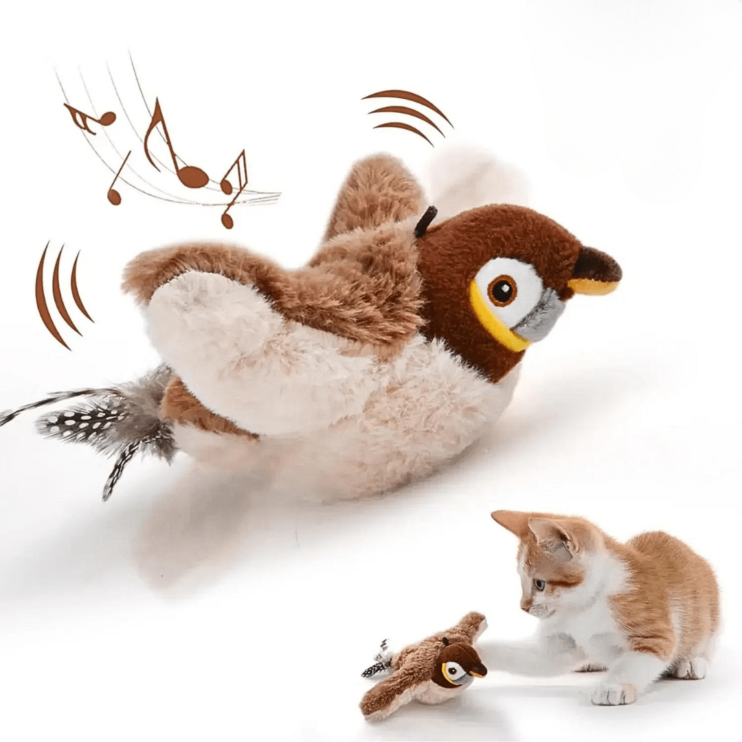 Jouet Oiseau Pour Chat | Minouplus