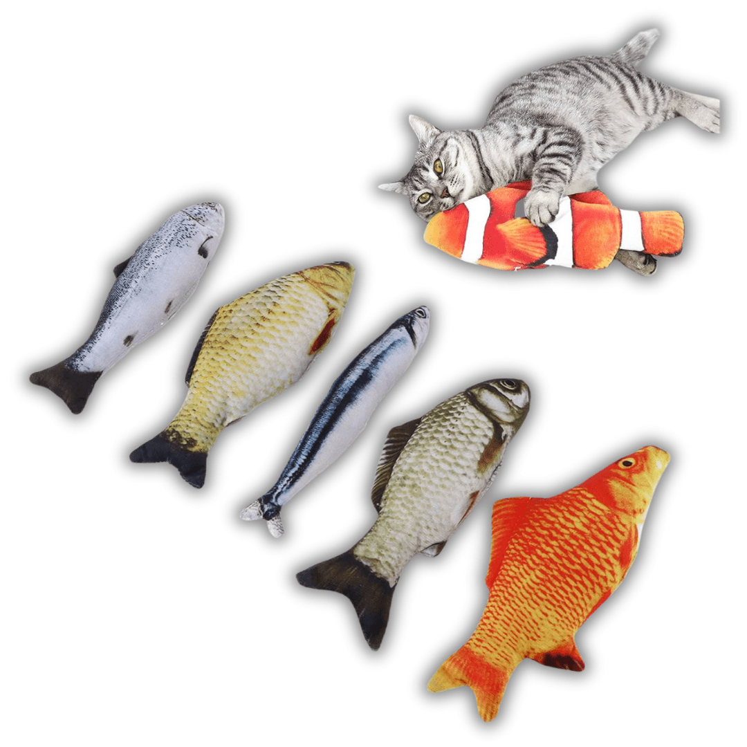 Jouet poisson pour chat | Minouplus