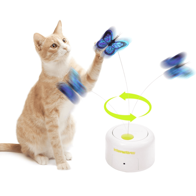 Jouet Pour Chat Papillon | Minouplus