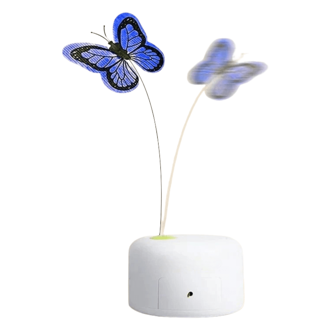 Jouet Pour Chat Papillon | Minouplus Papillon en mouvement
