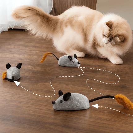 Jouet Pour Chat Souris Qui Bouge Toute Seule | Minouplus